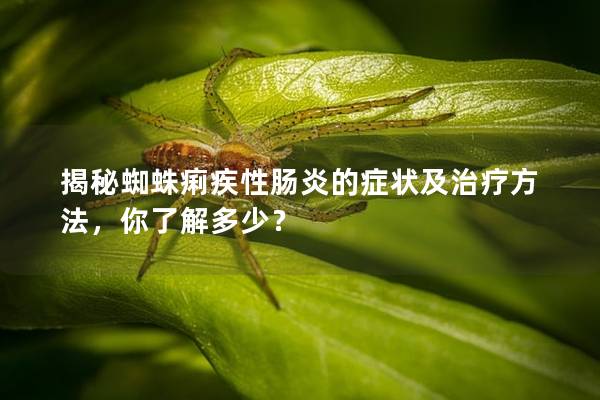 揭秘蜘蛛痢疾性肠炎的症状及治疗方法，你了解多少？