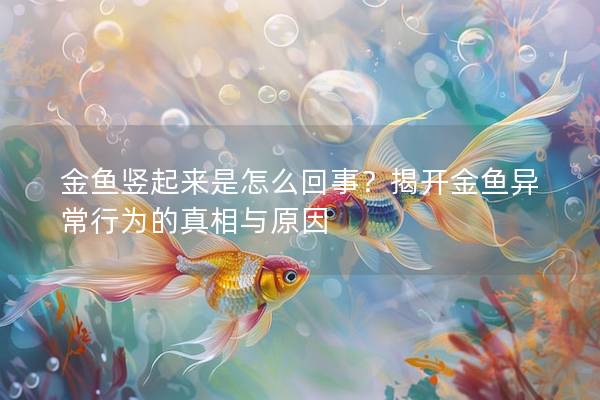 金鱼竖起来是怎么回事？揭开金鱼异常行为的真相与原因