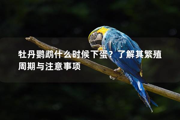 牡丹鹦鹉什么时候下蛋？了解其繁殖周期与注意事项