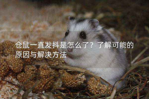 仓鼠一直发抖是怎么了？了解可能的原因与解决方法