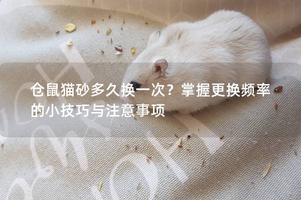 仓鼠猫砂多久换一次？掌握更换频率的小技巧与注意事项