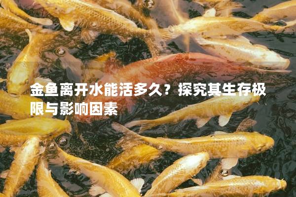 金鱼离开水能活多久？探究其生存极限与影响因素