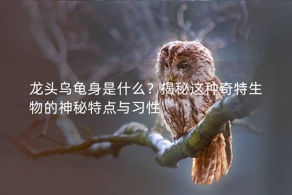 龙头乌龟身是什么？揭秘这种奇特生物的神秘特点与习性