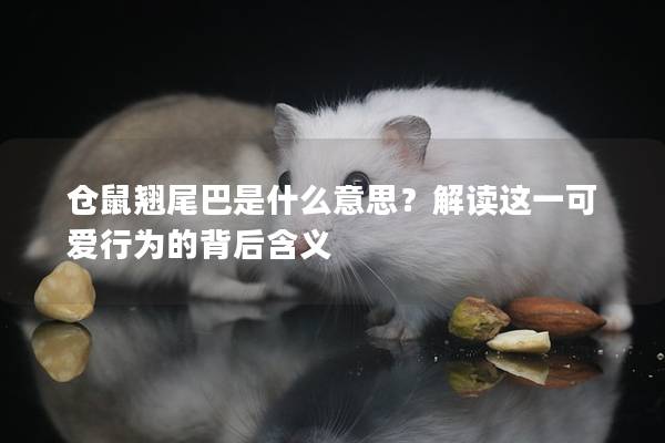 仓鼠翘尾巴是什么意思？解读这一可爱行为的背后含义