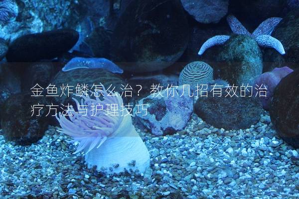 金鱼炸鳞怎么治？教你几招有效的治疗方法与护理技巧