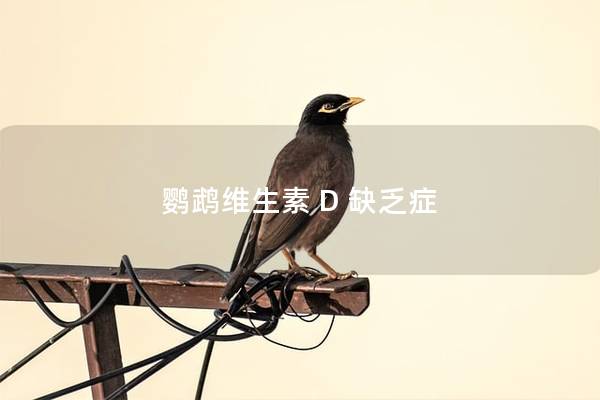 鹦鹉维生素 D 缺乏症