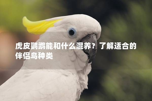 虎皮鹦鹉能和什么混养？了解适合的伴侣鸟种类