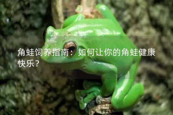 角蛙饲养指南：如何让你的角蛙健康快乐？