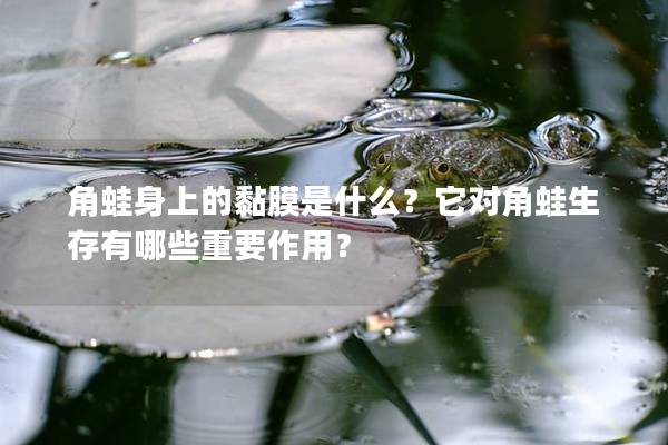 角蛙身上的黏膜是什么？它对角蛙生存有哪些重要作用？