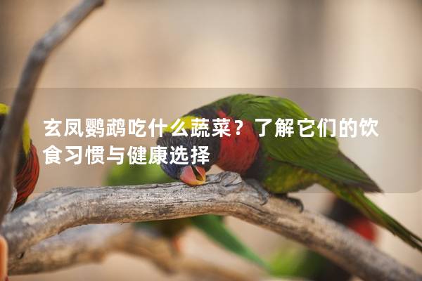 玄凤鹦鹉吃什么蔬菜？了解它们的饮食习惯与健康选择