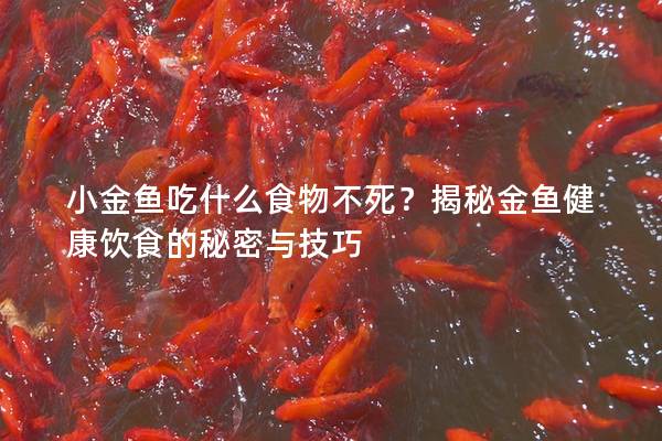 小金鱼吃什么食物不死？揭秘金鱼健康饮食的秘密与技巧