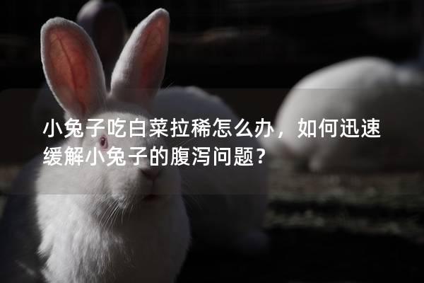 小兔子吃白菜拉稀怎么办，如何迅速缓解小兔子的腹泻问题？