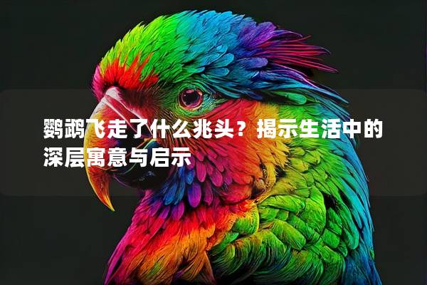 鹦鹉飞走了什么兆头？揭示生活中的深层寓意与启示