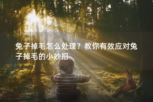 兔子掉毛怎么处理？教你有效应对兔子掉毛的小妙招