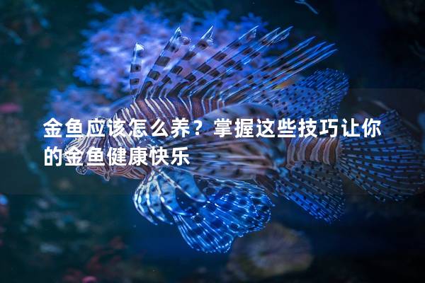 金鱼应该怎么养？掌握这些技巧让你的金鱼健康快乐