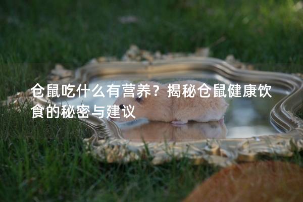 仓鼠吃什么有营养?揭秘仓鼠健康饮食的秘密与建议