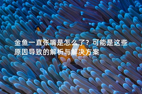 金鱼一直张嘴是怎么了？可能是这些原因导致的解析与解决方案