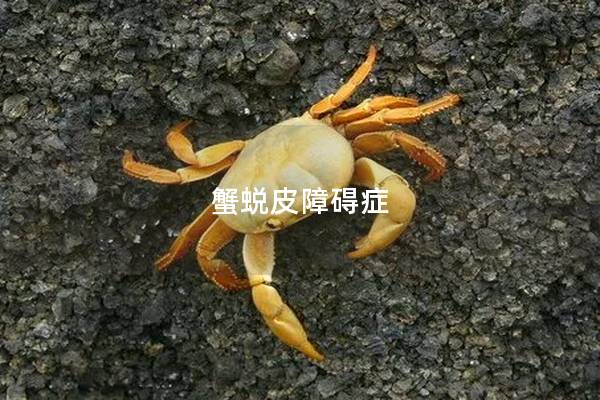 蟹蜕皮障碍症