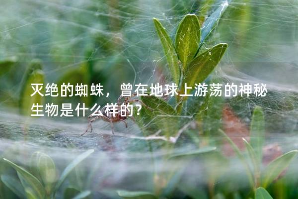 灭绝的蜘蛛，曾在地球上游荡的神秘生物是什么样的？