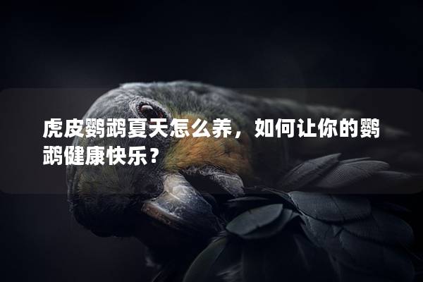 虎皮鹦鹉夏天怎么养，如何让你的鹦鹉健康快乐？