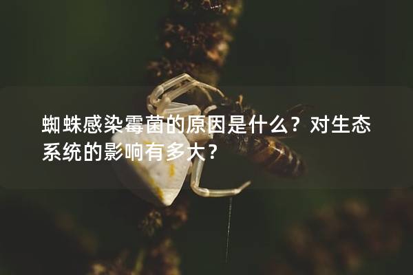 蜘蛛感染霉菌的原因是什么？对生态系统的影响有多大？