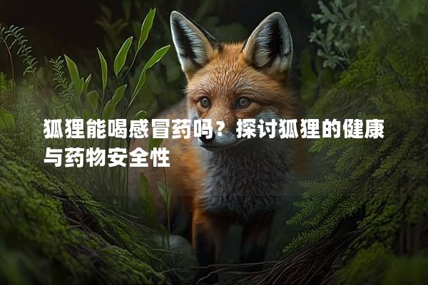 狐狸能喝感冒药吗？探讨狐狸的健康与药物安全性