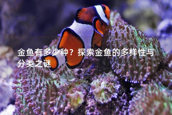 金鱼有多少种？探索金鱼的多样性与分类之谜