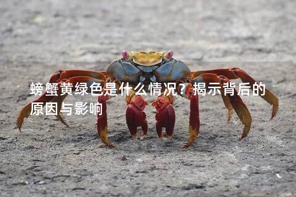 螃蟹黄绿色是什么情况？揭示背后的原因与影响