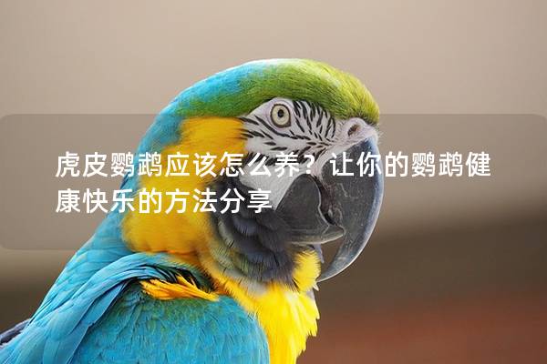 虎皮鹦鹉应该怎么养？让你的鹦鹉健康快乐的方法分享