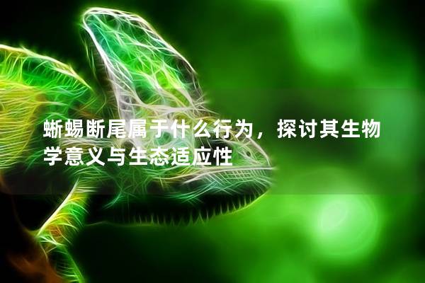 蜥蜴断尾属于什么行为，探讨其生物学意义与生态适应性