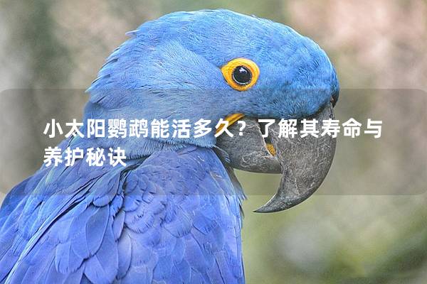 小太阳鹦鹉能活多久？了解其寿命与养护秘诀