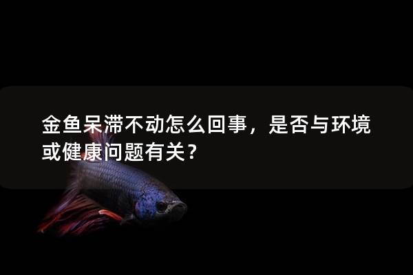 金鱼呆滞不动怎么回事，是否与环境或健康问题有关？