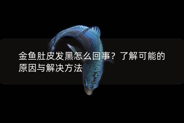 金鱼肚皮发黑怎么回事？了解可能的原因与解决方法