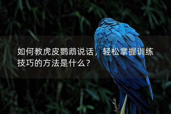 如何教虎皮鹦鹉说话，轻松掌握训练技巧的方法是什么？