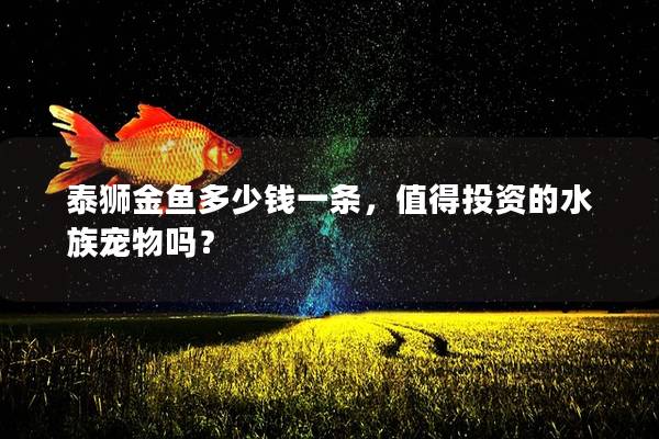 泰狮金鱼多少钱一条，值得投资的水族宠物吗？