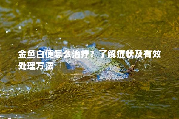 金鱼白便怎么治疗？了解症状及有效处理方法