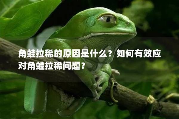 角蛙拉稀的原因是什么？如何有效应对角蛙拉稀问题？