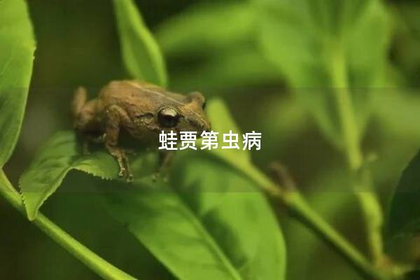 蛙贾第虫病