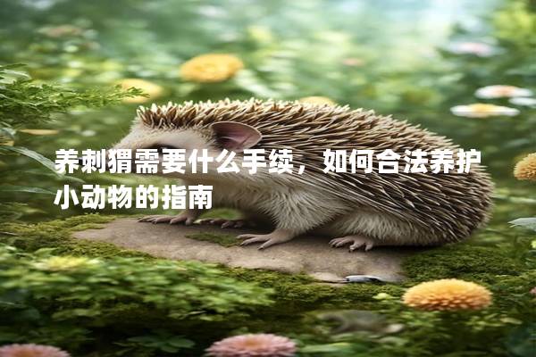 养刺猬需要什么手续，如何合法养护小动物的指南