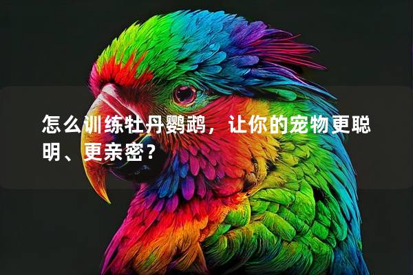 怎么训练牡丹鹦鹉，让你的宠物更聪明、更亲密？