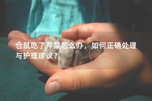 仓鼠吃了芹菜怎么办，如何正确处理与护理建议？