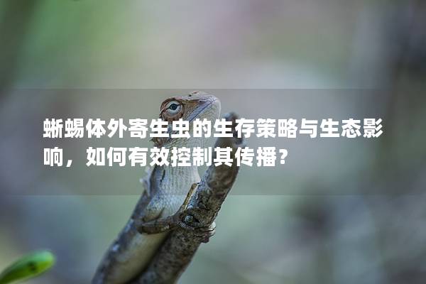 蜥蜴体外寄生虫的生存策略与生态影响，如何有效控制其传播？