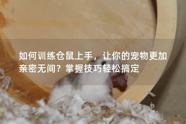 如何训练仓鼠上手，让你的宠物更加亲密无间？掌握技巧轻松搞定