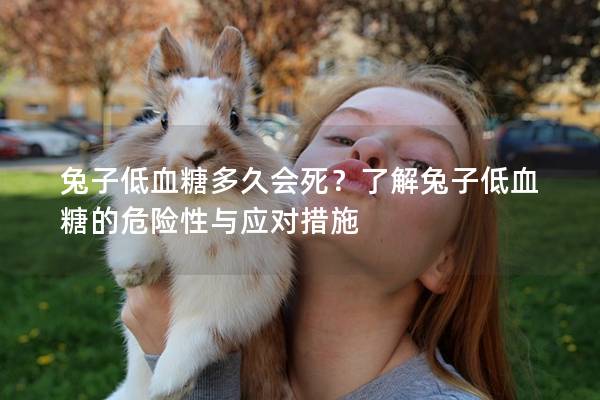 兔子低血糖多久会死？了解兔子低血糖的危险性与应对措施