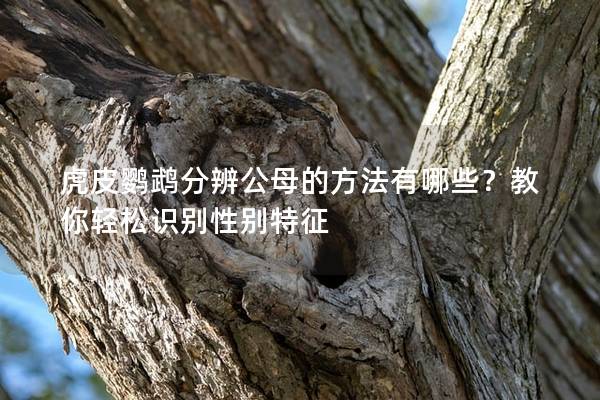 虎皮鹦鹉分辨公母的方法有哪些？教你轻松识别性别特征