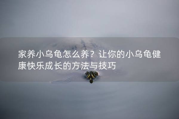 家养小乌龟怎么养？让你的小乌龟健康快乐成长的方法与技巧