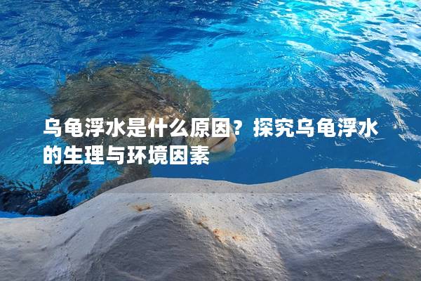 乌龟浮水是什么原因？探究乌龟浮水的生理与环境因素