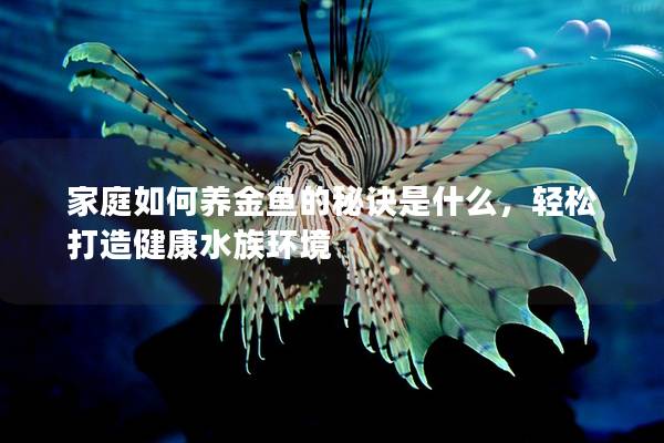 家庭如何养金鱼的秘诀是什么，轻松打造健康水族环境