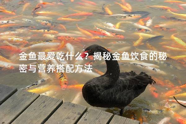 金鱼最爱吃什么？揭秘金鱼饮食的秘密与营养搭配方法