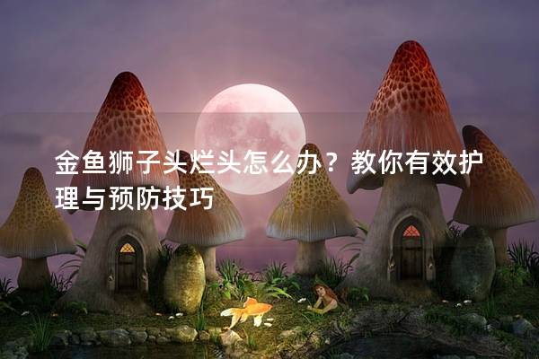 金鱼狮子头烂头怎么办？教你有效护理与预防技巧